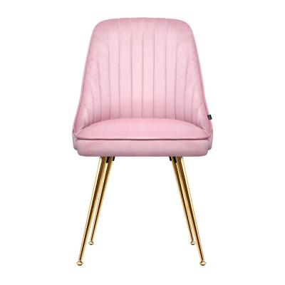 Artiss Set of 2 Dining Chairs Retro Chair Cafe Kitchen Modern Iron Legs Velvet Pink