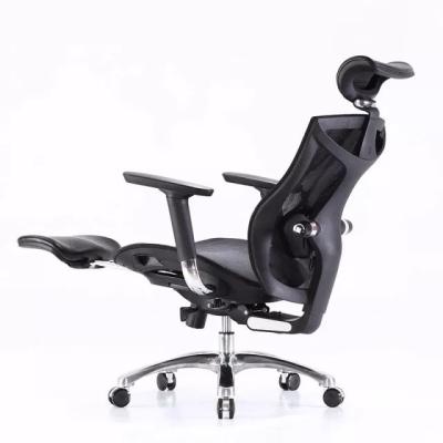 Sihoo Ergonomic Office Chair V1 4D Adjustable High-Back Breathable With Footrest And Lumbar Support Grey